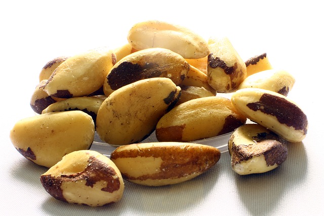 brazil nuts earn a place on the list of keto snacks