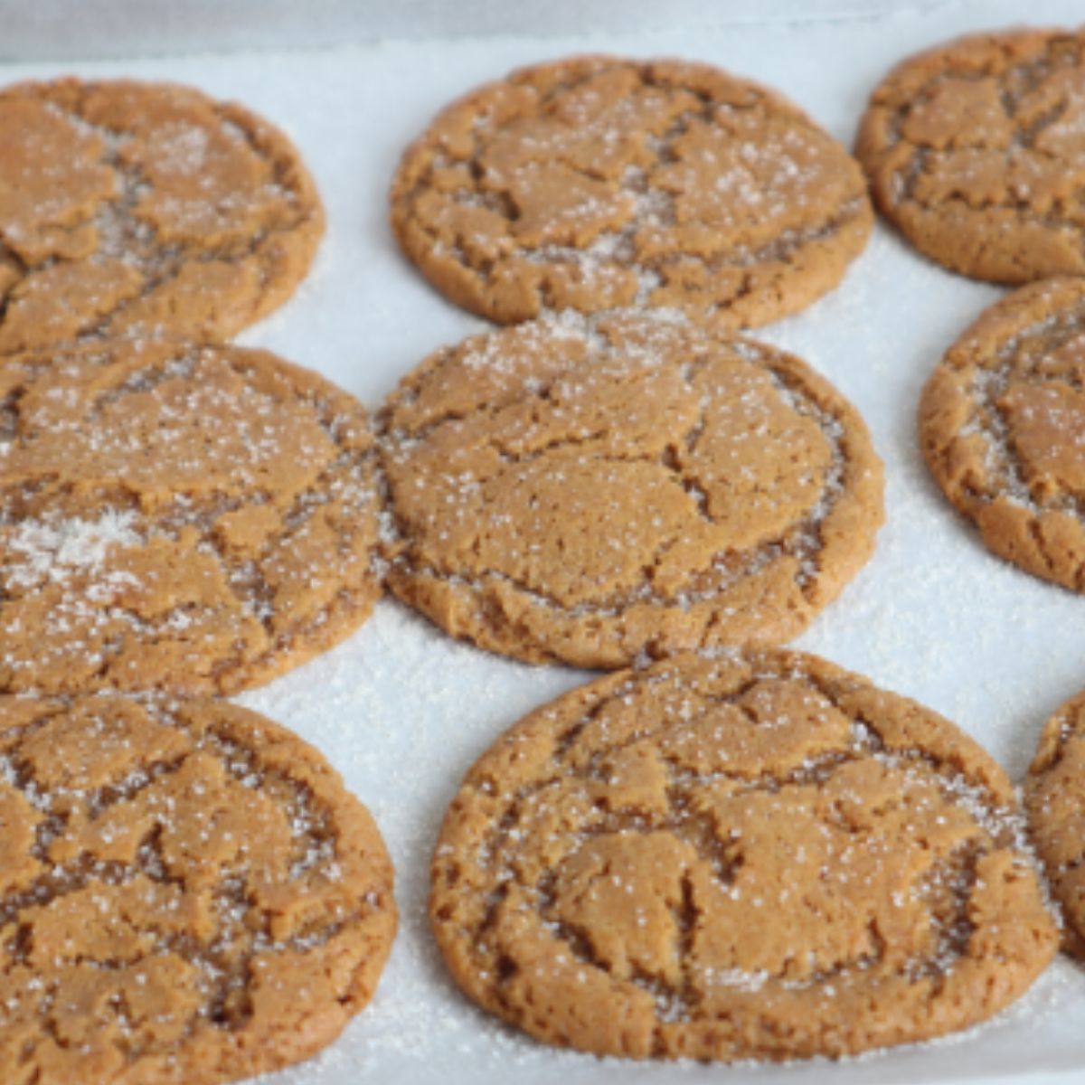 molasses crinkle cookies on a baking sheet