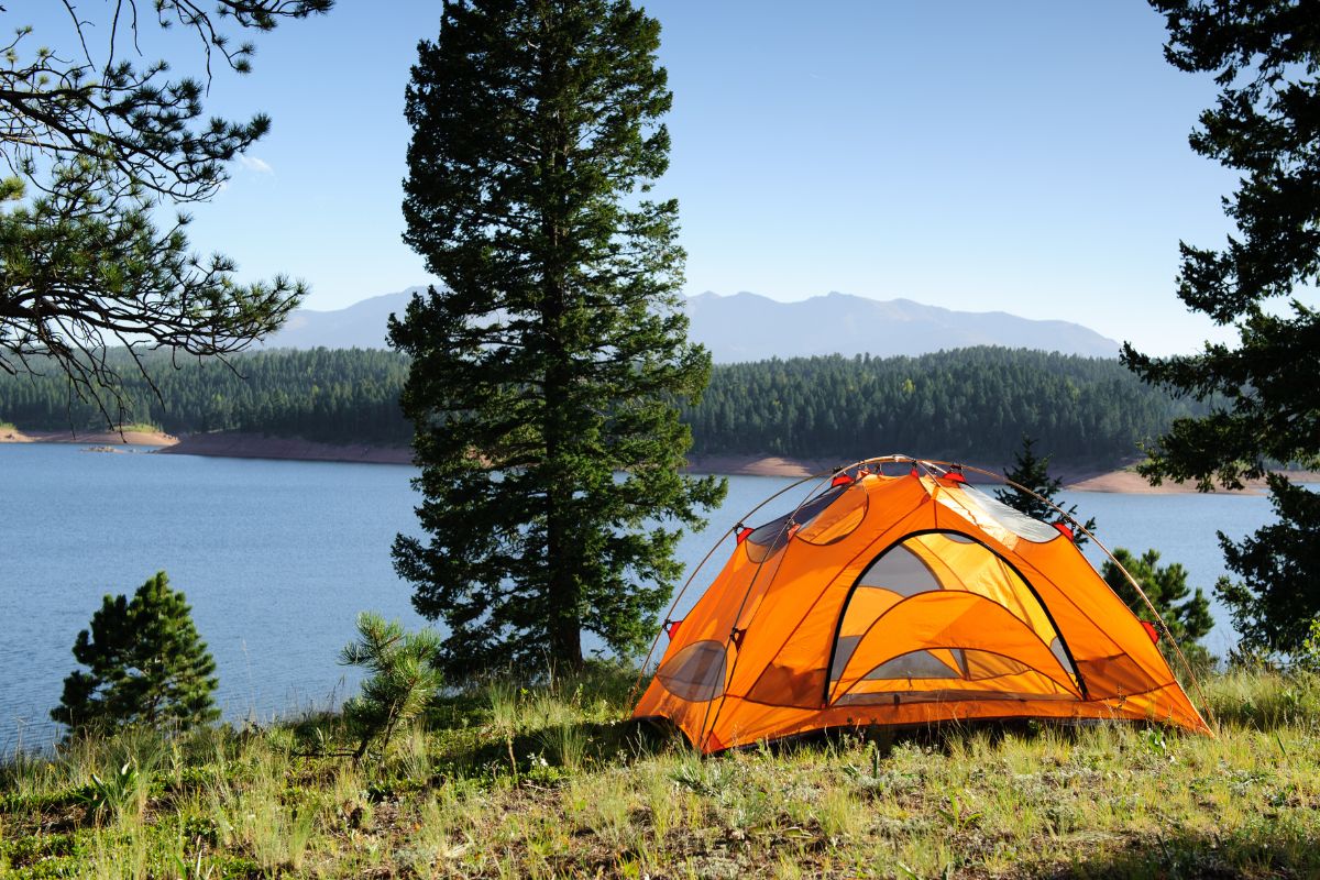 orange tent pitched by a lake, with pine trees