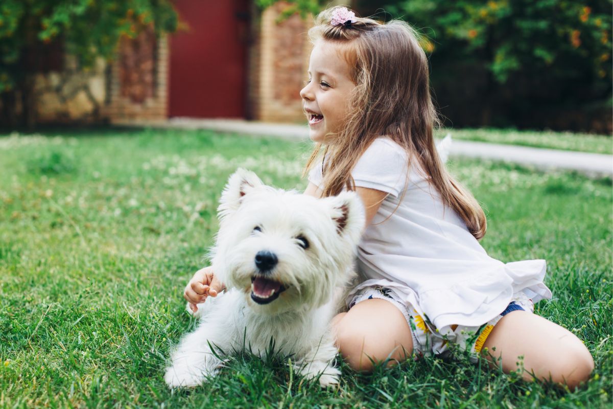 little girl playing with a small white dog on a green lawn