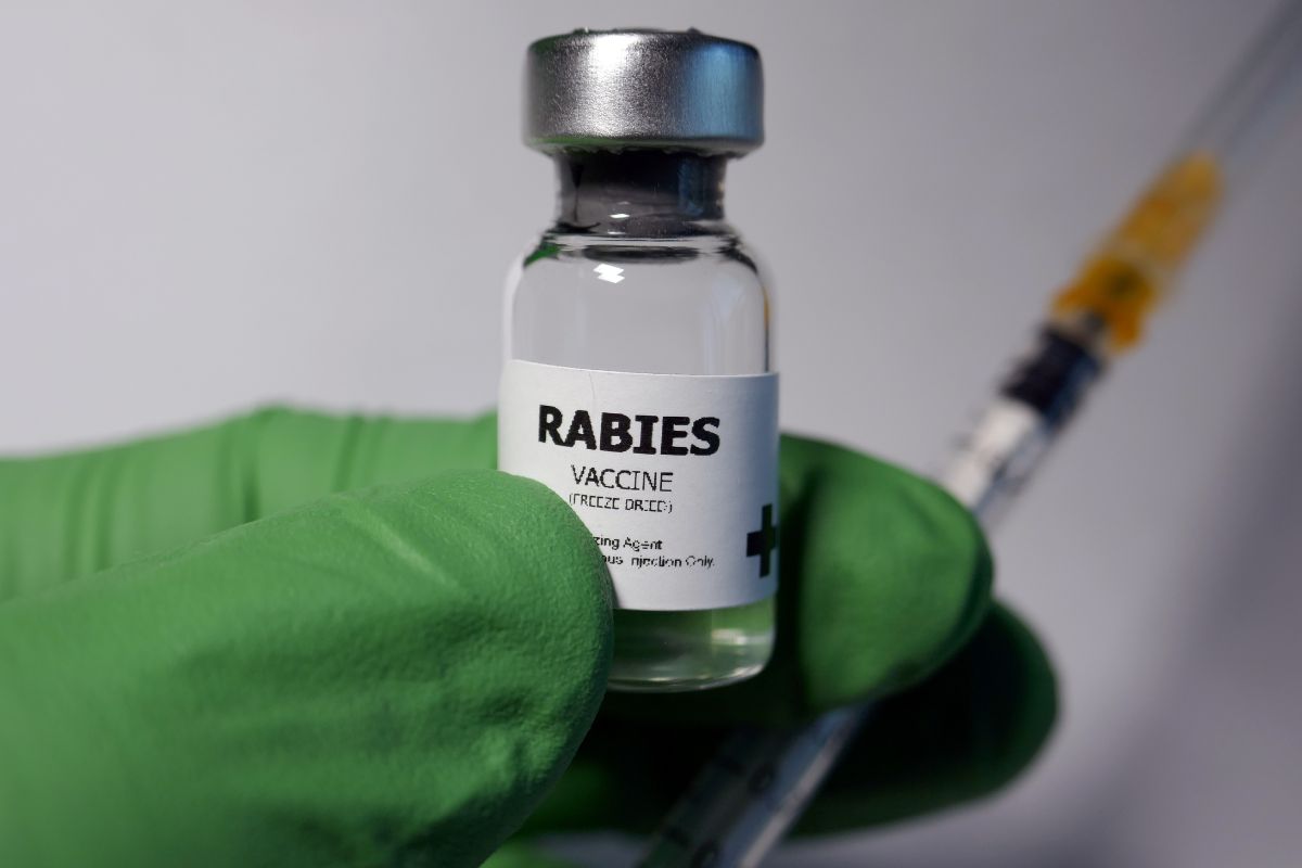 gloved hand holding vial of rabies vaccine